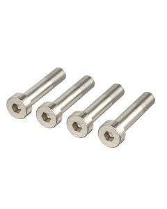 ALLEN HEAD SCREWS, 21007970